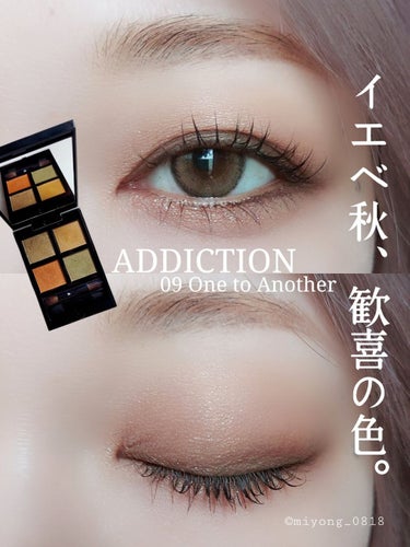 アディクション　ザ アイシャドウ パレット/ADDICTION/アイシャドウパレットを使ったクチコミ（1枚目）