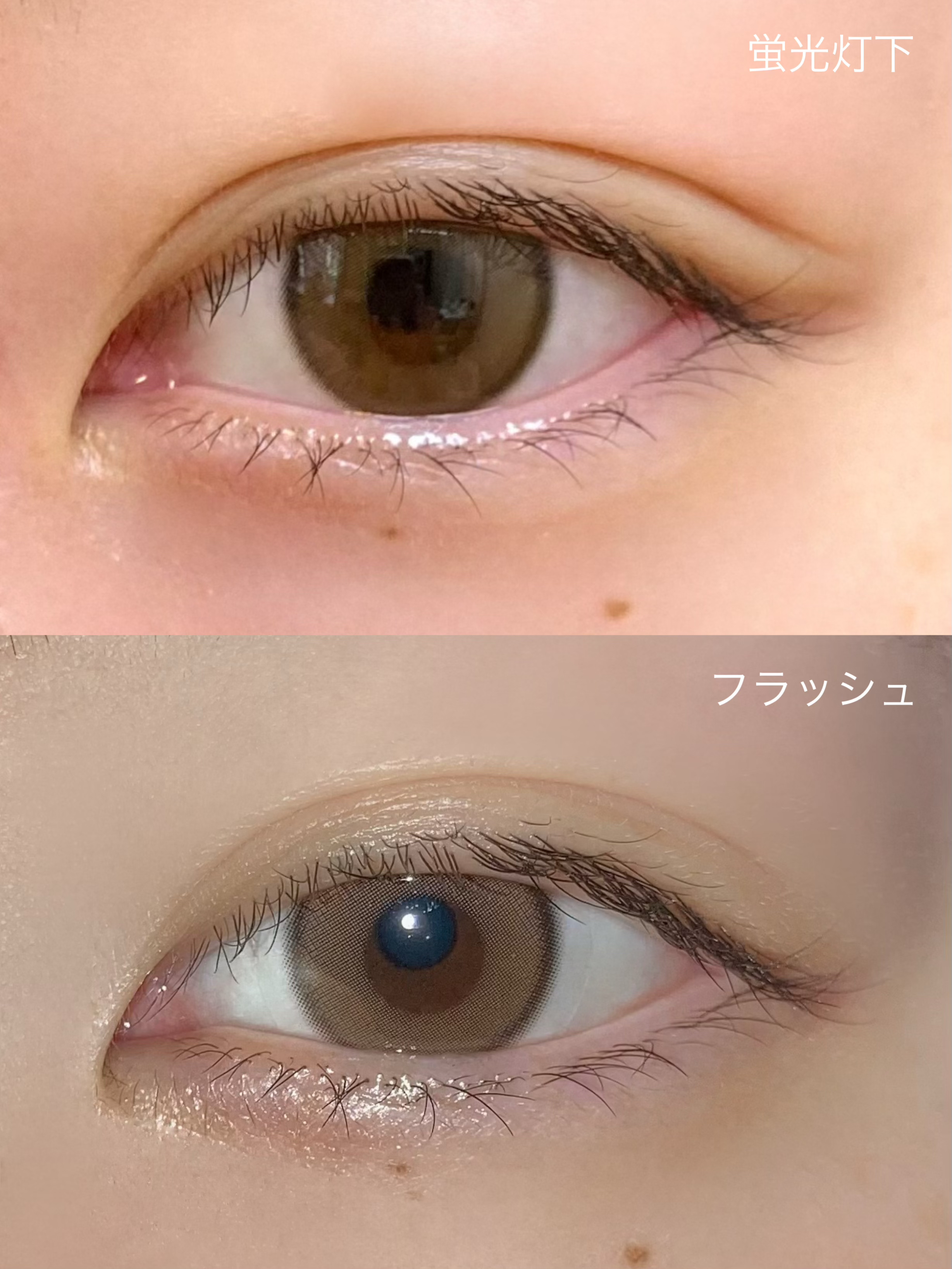 Real Ring 1day ブラウン/OLENS/ワンデー（１DAY）カラコンを使ったクチコミ（3枚目）