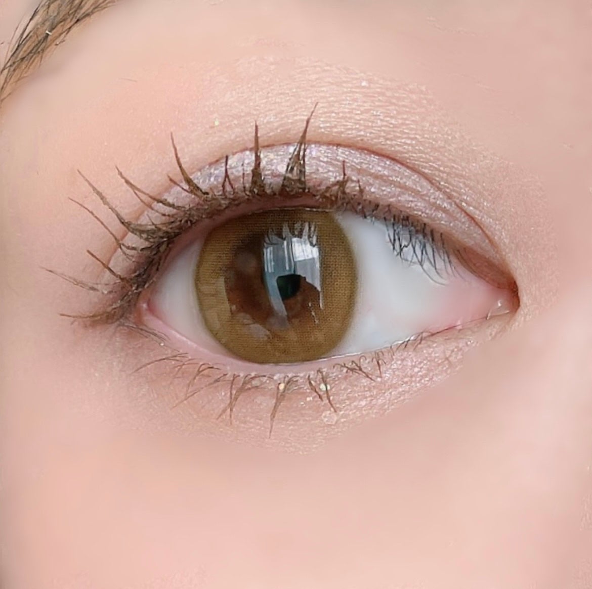 ShineTouch 1day/OLENS/ワンデー(1DAY)カラコンを使ったクチコミ(2枚目)