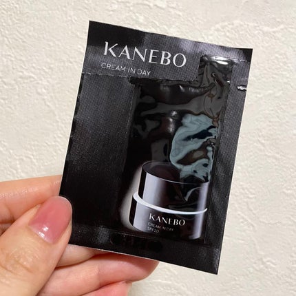 クリーム イン デイ/KANEBO/フェイスクリームを使ったクチコミ(1枚目)
