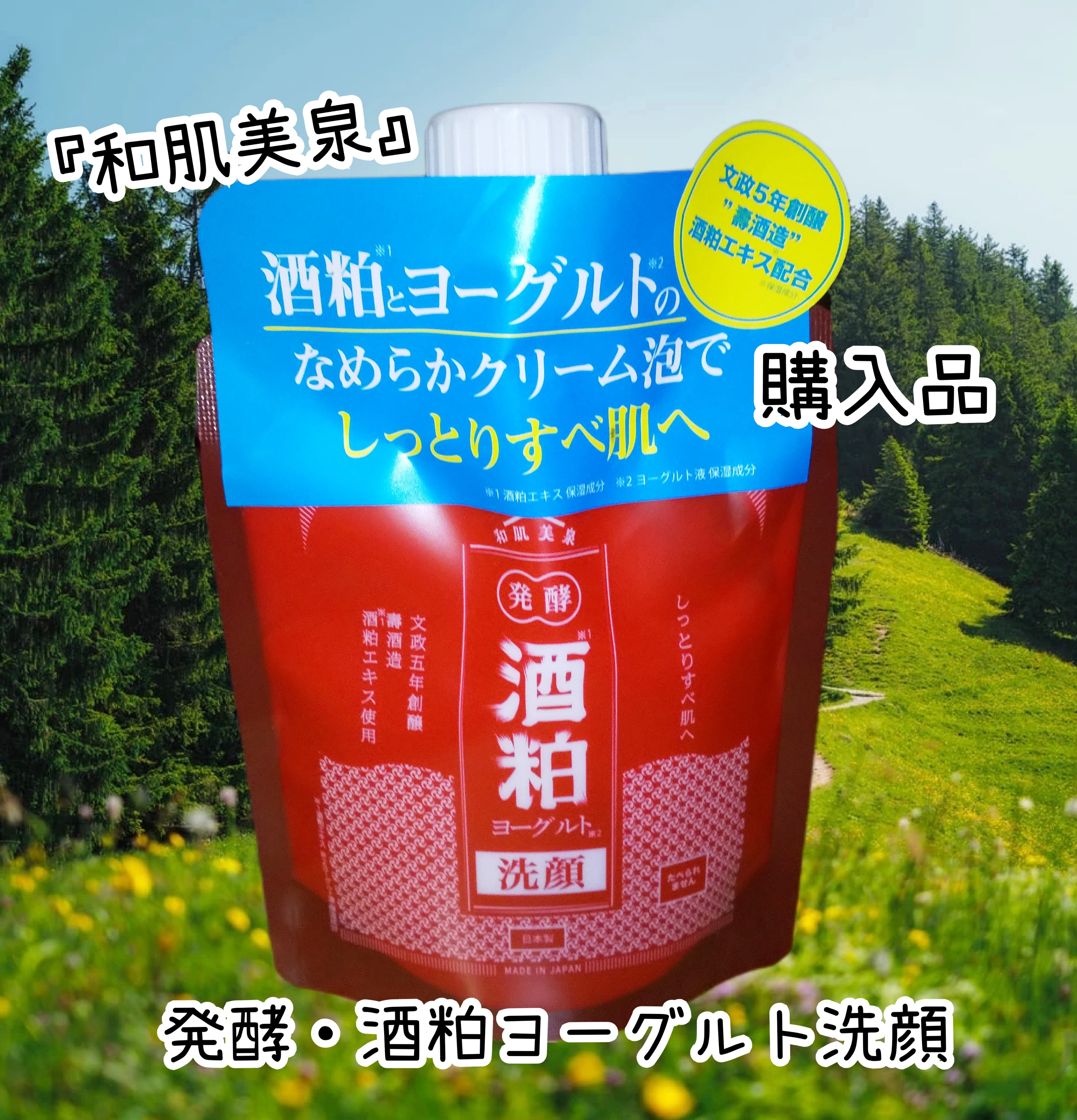 発酵・酒粕ヨーグルト洗顔/和肌美泉/洗顔フォームを使ったクチコミ（1枚目）