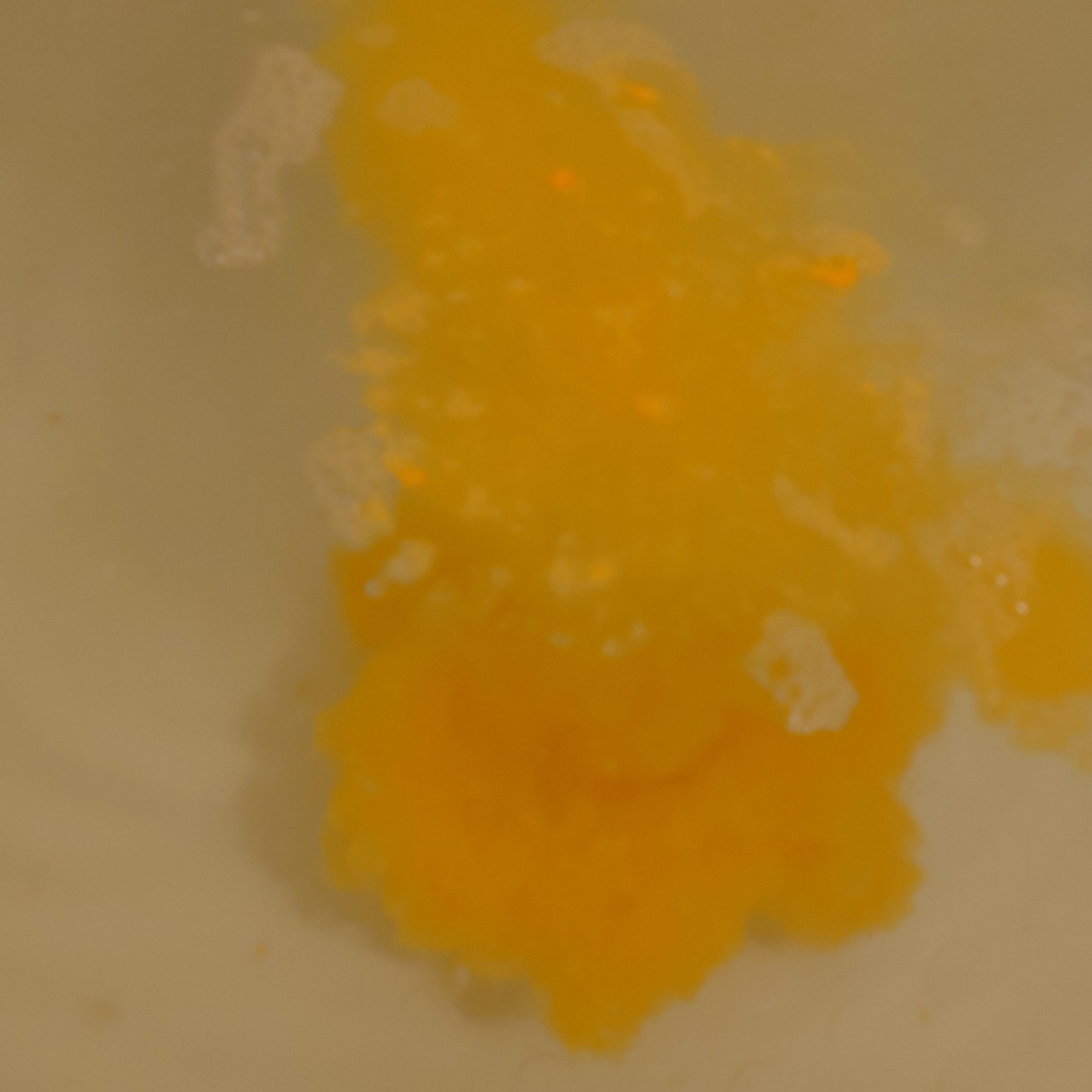 グースーピー/charley/無機塩系入浴剤を使ったクチコミ（2枚目）