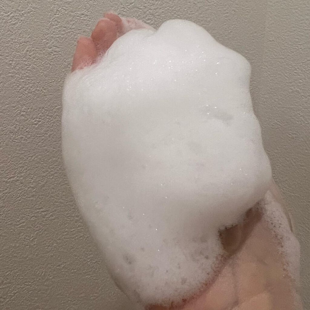 モイストスキン ウォッシングフォーム/Bb lab./洗顔フォームを使ったクチコミ(3枚目)