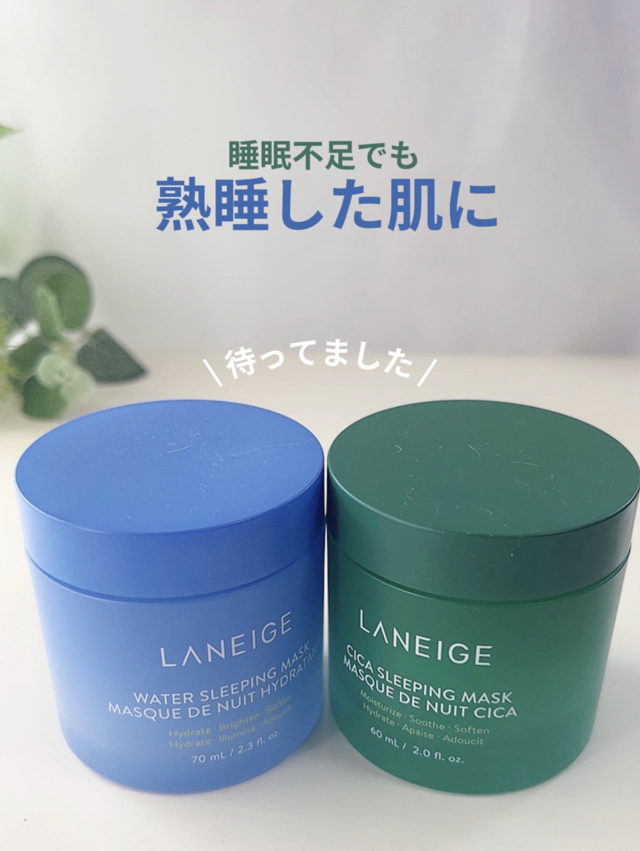 シカスリーピングマスク/LANEIGE/フェイスクリームを使ったクチコミ（1枚目）