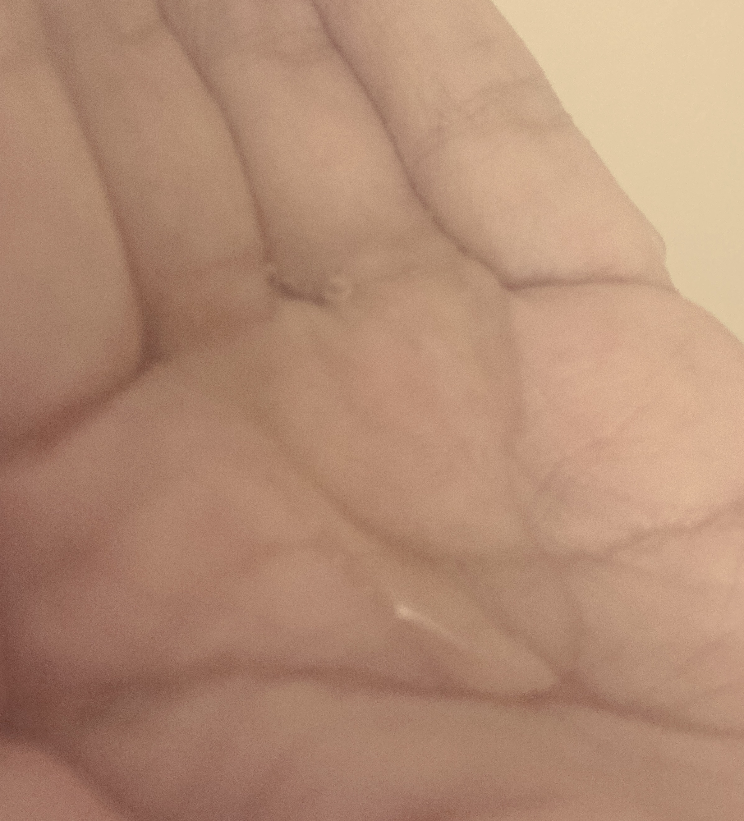 エッセンシャルプレミアム バリアシャンプー・コンディショナー シルキー＆スムース/エッセンシャル/市販シャンプーを使ったクチコミ（3枚目）