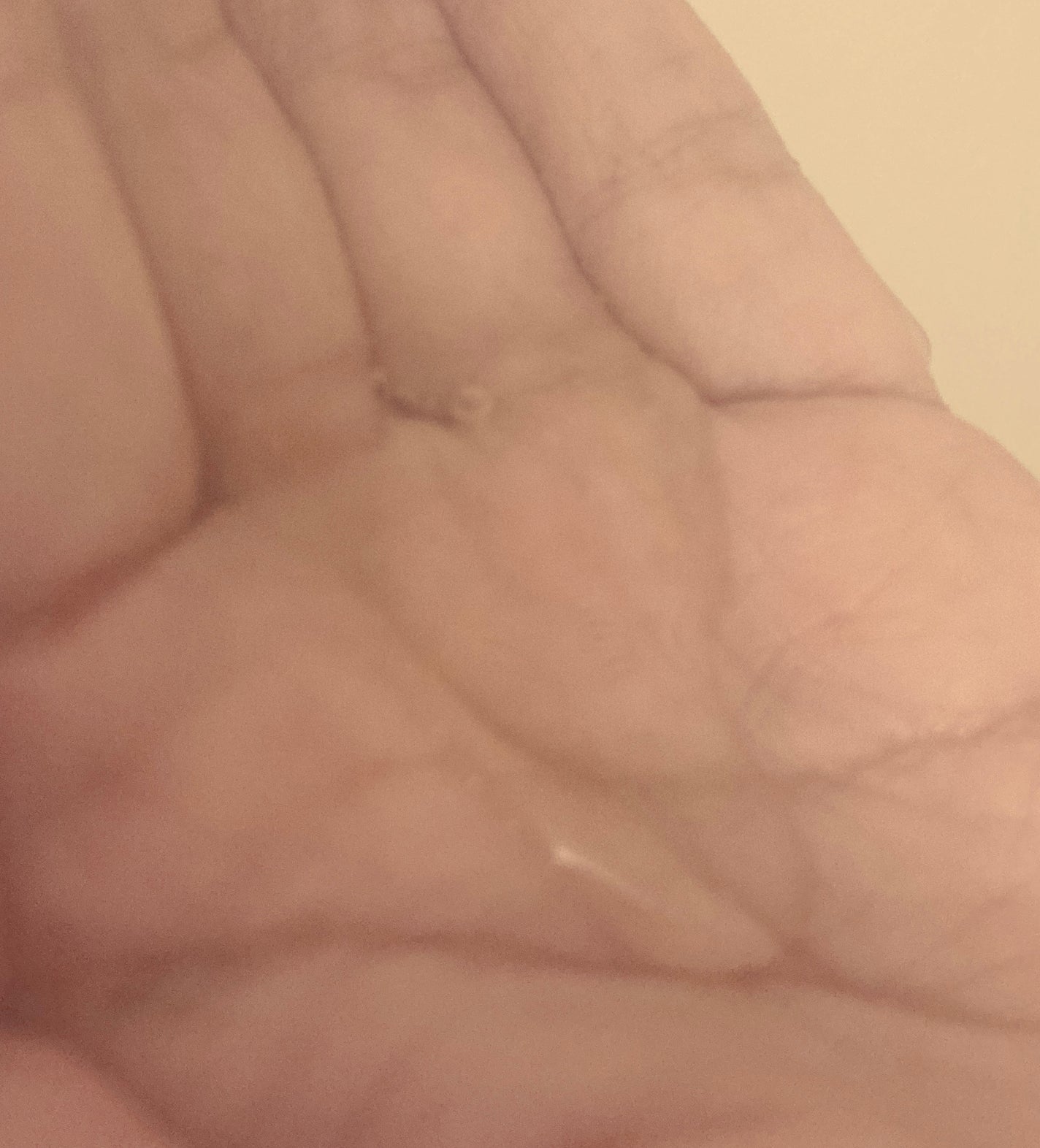 エッセンシャルプレミアム バリアシャンプー・コンディショナー シルキー&スムース/エッセンシャル/市販シャンプーを使ったクチコミ(3枚目)