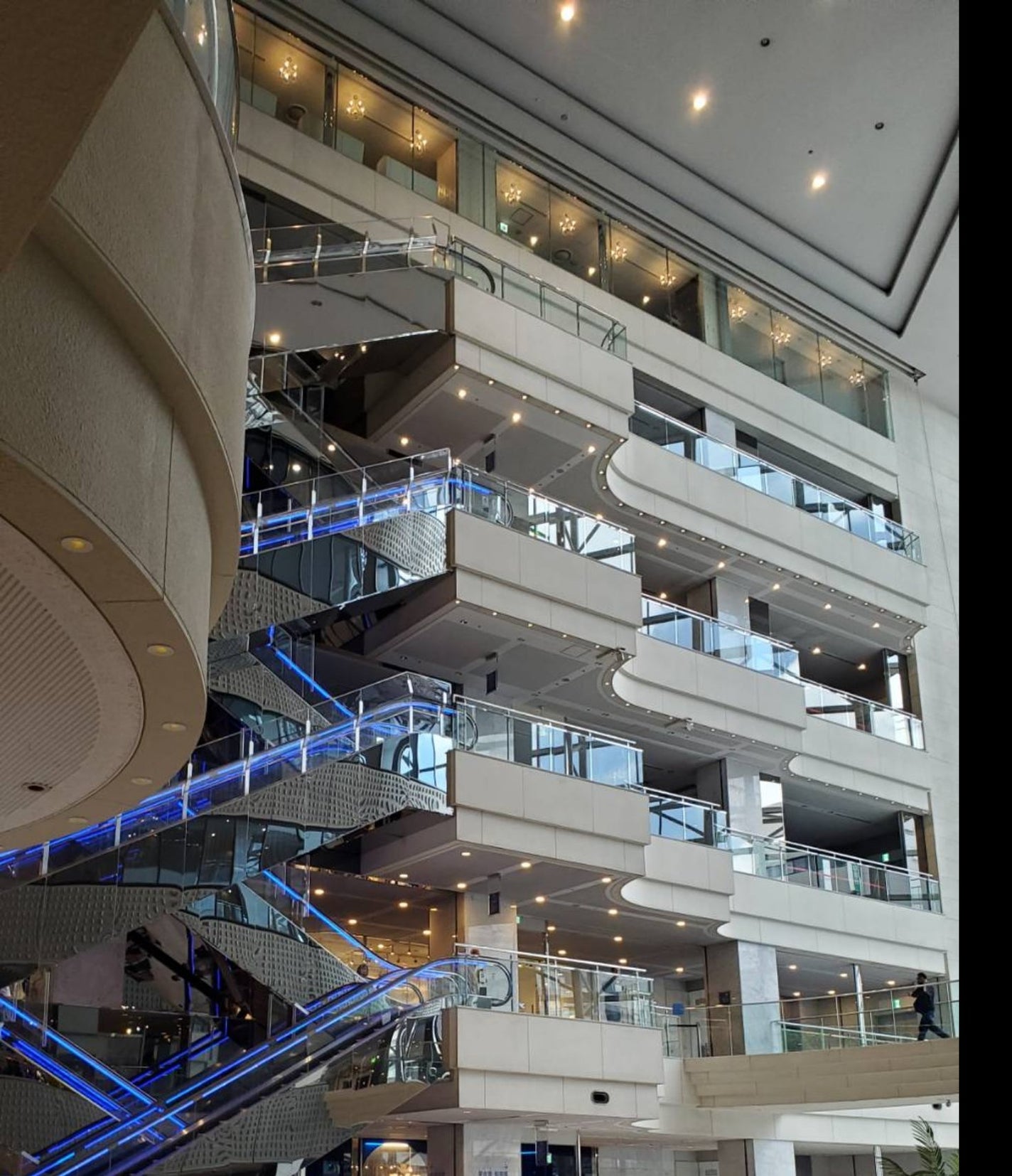 キープカラーシャンプー/トリートメント/SHIMA/サロンシャンプーを使ったクチコミ(3枚目)