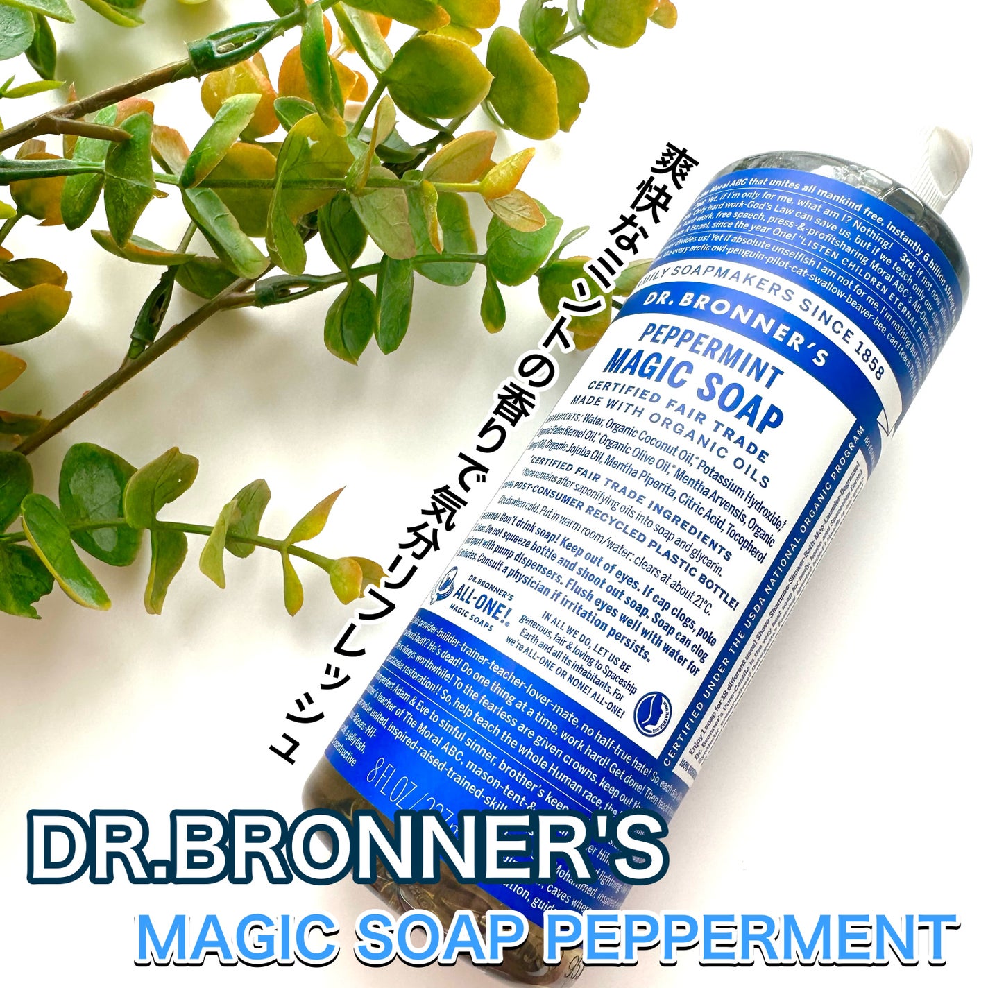 マジックソープ ペパーミント/ドクターブロナー/ボディソープを使ったクチコミ(1枚目)
