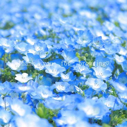 vitamin c suspension 30% in silicone/The Ordinary/美容液を使ったクチコミ(3枚目)