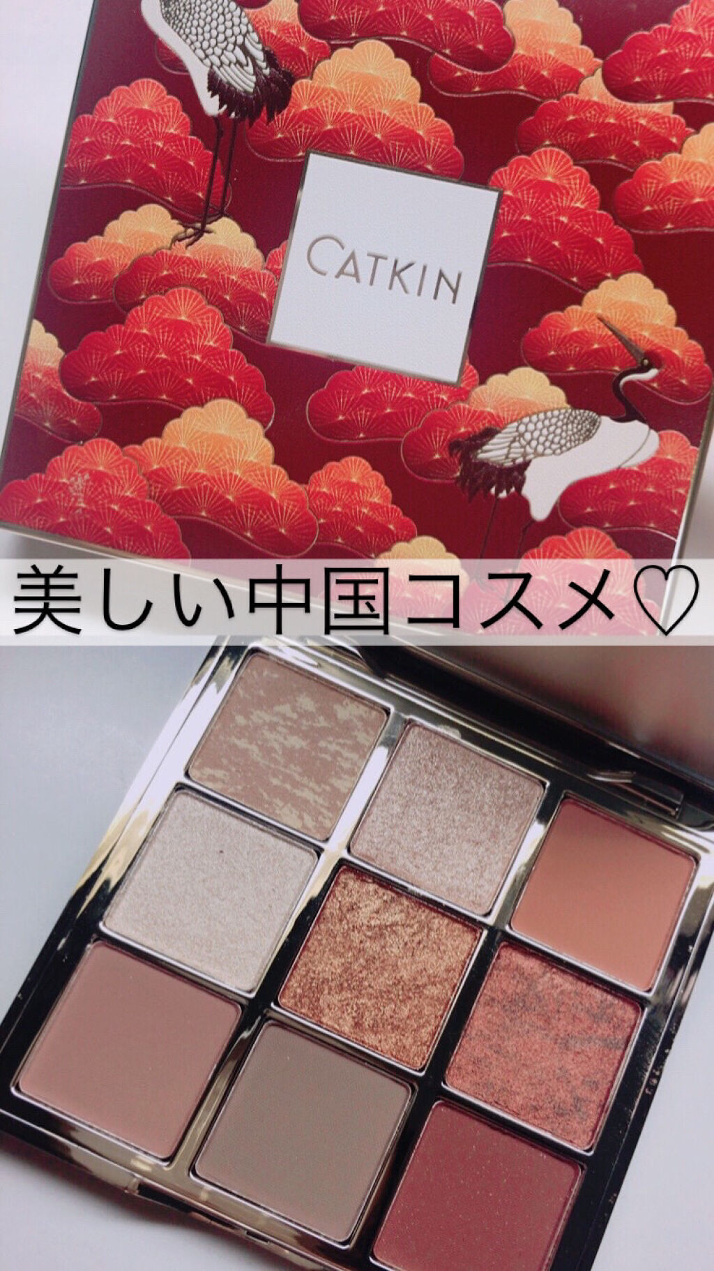 長相思シリーズ 9色アイシャドウパレット/CATKIN/アイシャドウパレットを使ったクチコミ（1枚目）