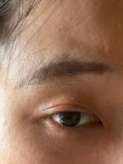 パウダー&ペンシル アイブロウEX/excel/アイブロウペンシルを使ったクチコミ(5枚目)