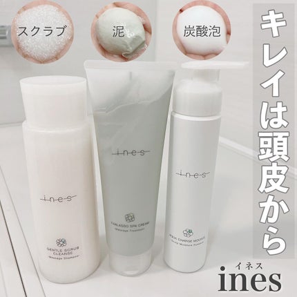 ジェントル スクラブ クレンズ/ines/市販シャンプーを使ったクチコミ(1枚目)