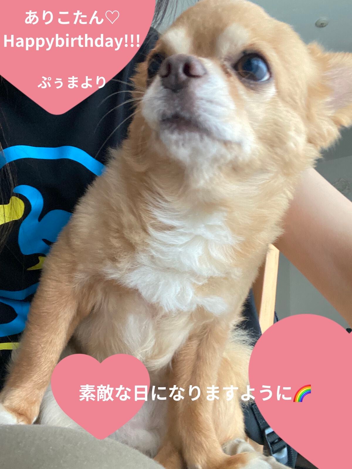 カラフルネイルズ/キャンメイク/マニキュアを使ったクチコミ(6枚目)