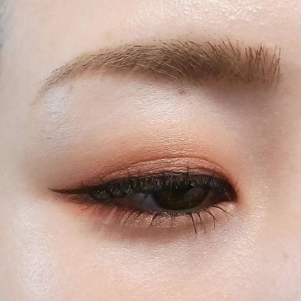 ドレッシーシャドウR/CipiCipi/アイシャドウパレットを使ったクチコミ(7枚目)