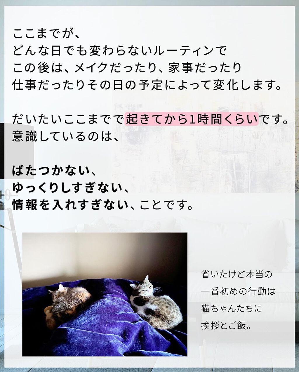 セラミドミルク/TOUT VERT/乳液を使ったクチコミ(7枚目)