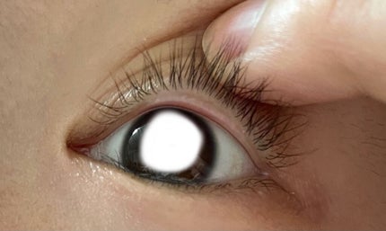 さささ。 on LIPS 「2021.4.13今日からマツ育をしようと思います。頑張るぞ!..」(4枚目)