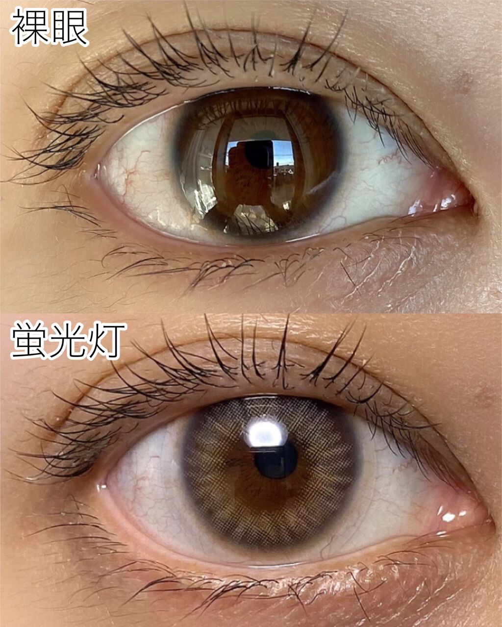 Spanish 1Day(スパニッシュ 1Day)/OLENS/ワンデー(1DAY)カラコンを使ったクチコミ(2枚目)