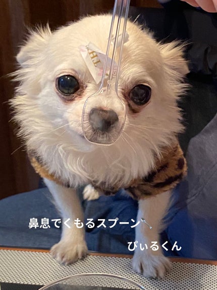 を使ったクチコミ(3枚目)