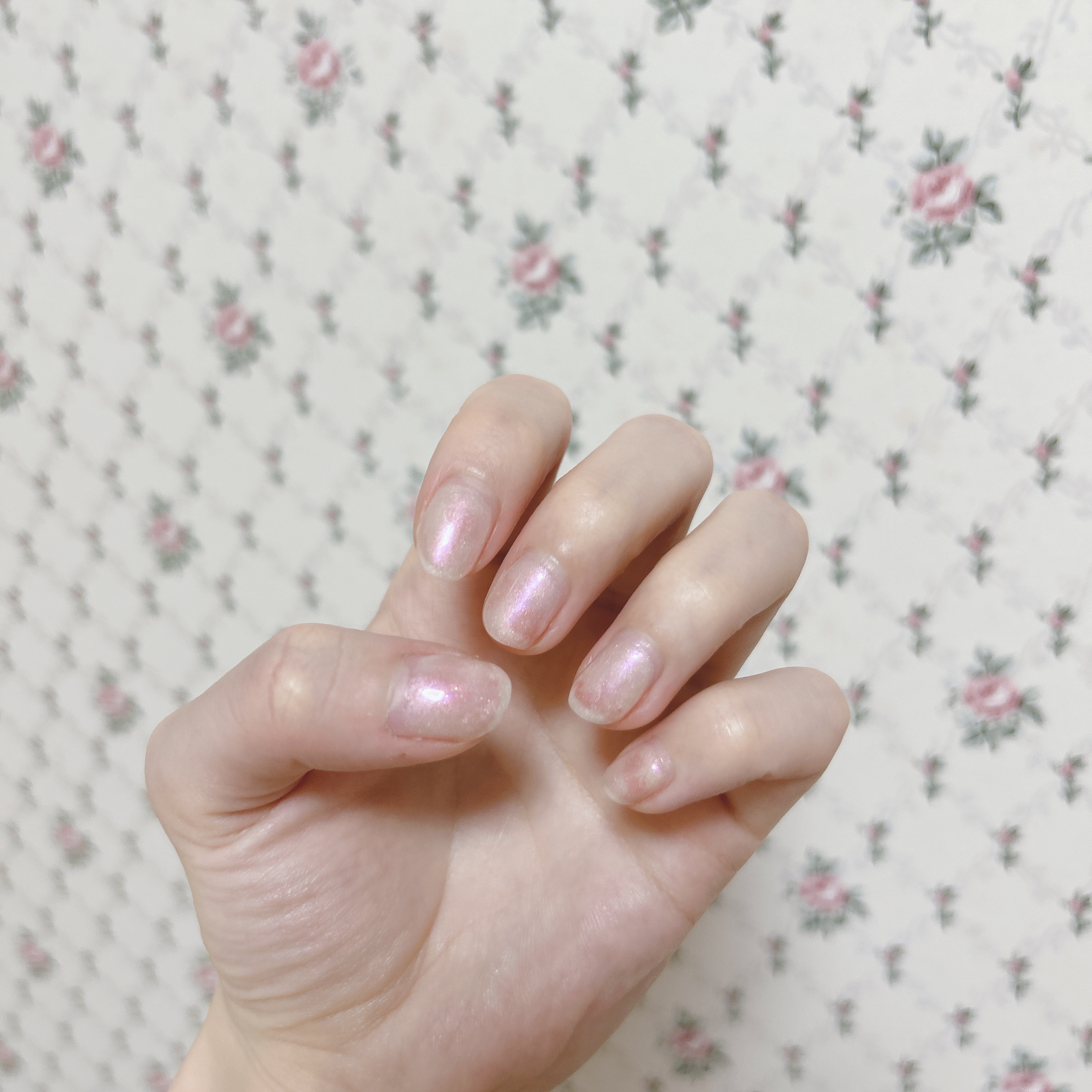 オーロラパウダー/セリア/ネイル用品を使ったクチコミ（1枚目）