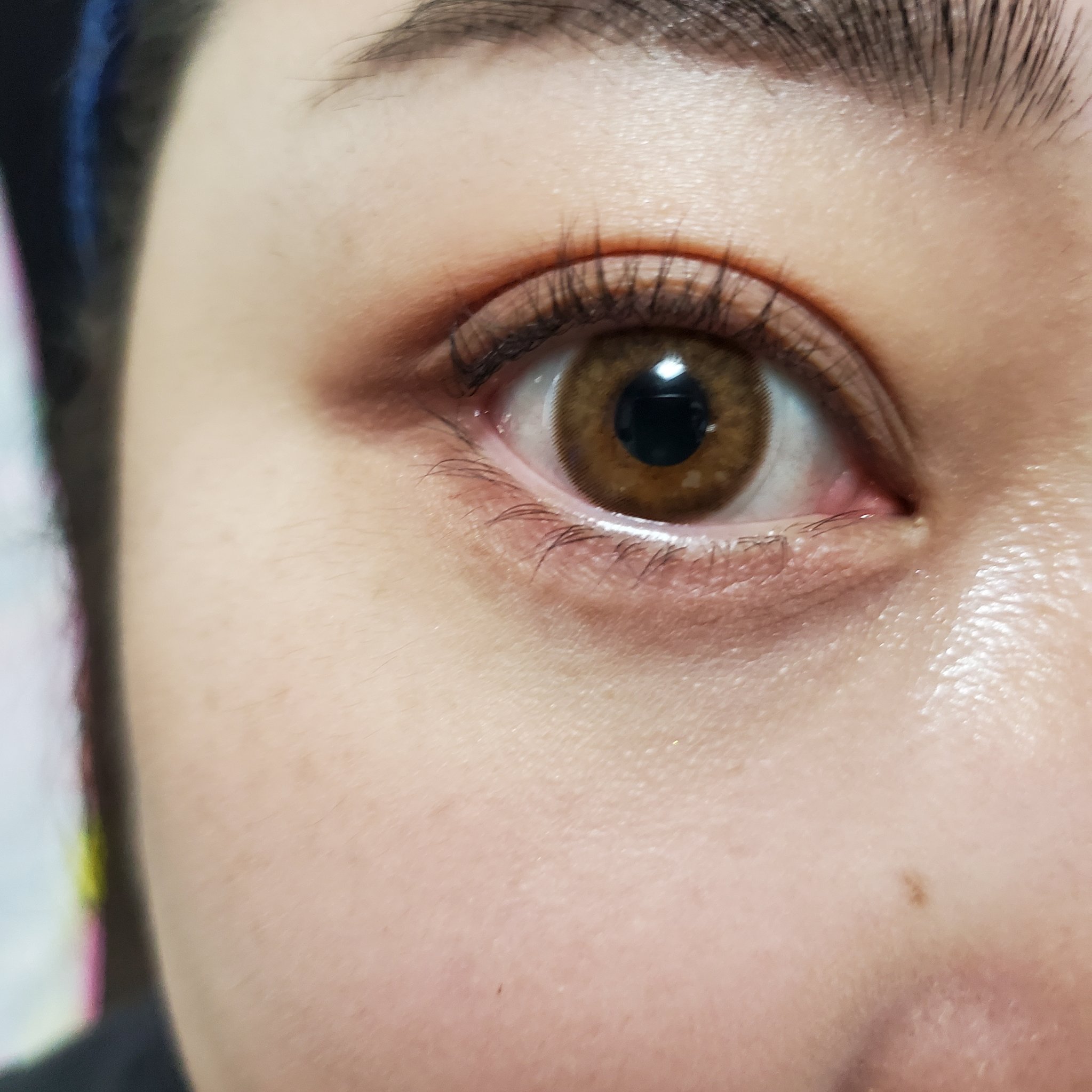 ラッシュガーディアン アングラヴィティマスカラ 02 チョコブラウン/LASHGUARDIAN/マスカラを使ったクチコミ（2枚目）