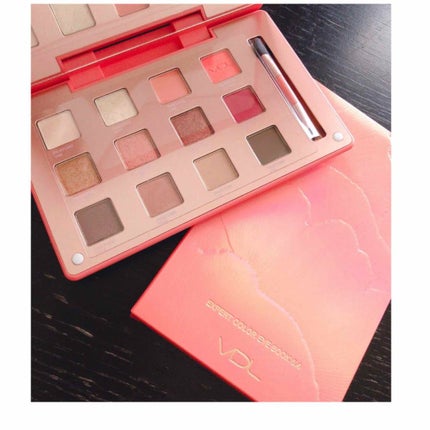 Expert Color Eye Book 6.4 /VDL/アイシャドウパレットを使ったクチコミ(1枚目)