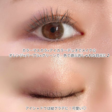 カネボウ アイカラーデュオ/KANEBO/アイシャドウパレットを使ったクチコミ(6枚目)