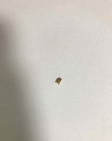 を使ったクチコミ(1枚目)