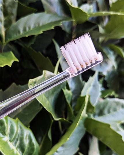 アパガードクリスタル歯ブラシ/アパガード/歯ブラシを使ったクチコミ(4枚目)