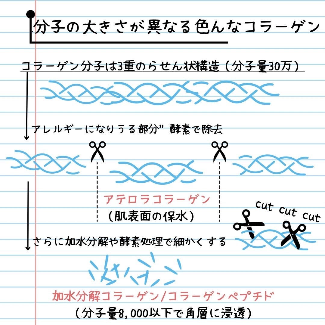 elan_lotus on LIPS 「コラーゲン|Collagen🌝コラーゲンとは⚫︎白色の粉体・水..」(5枚目)