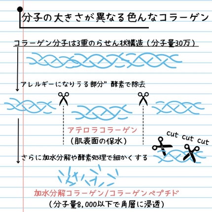 elan_lotus on LIPS 「コラーゲン|Collagen🌝コラーゲンとは⚫︎白色の粉体・水..」(5枚目)