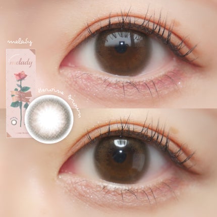 melady 1day ヒロインブラウン/melady/ワンデー(1DAY)カラコンを使ったクチコミ(1枚目)