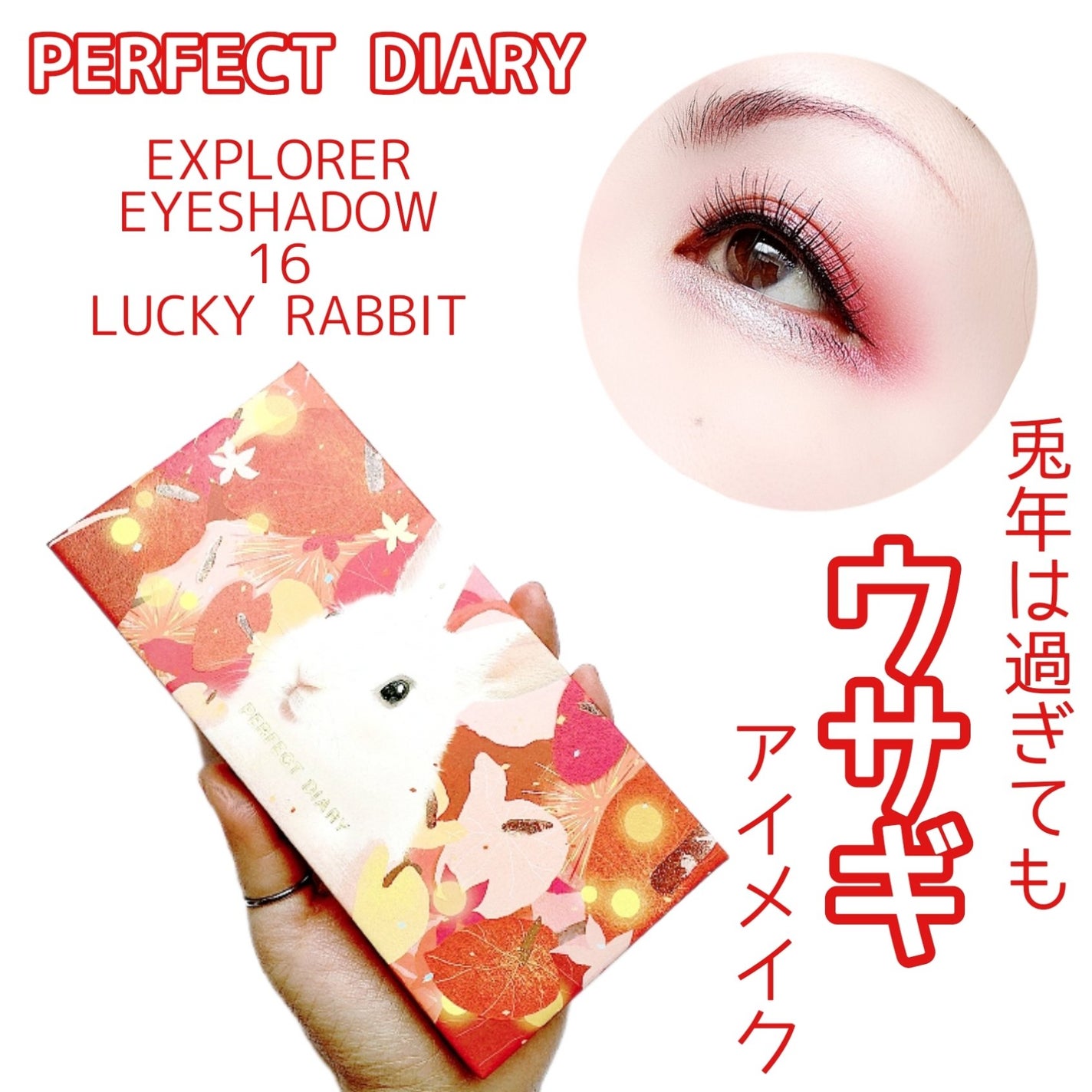 エクスプローラ12色 動物アイシャドウパレット/PERFECT DIARY/アイシャドウパレットを使ったクチコミ(1枚目)
