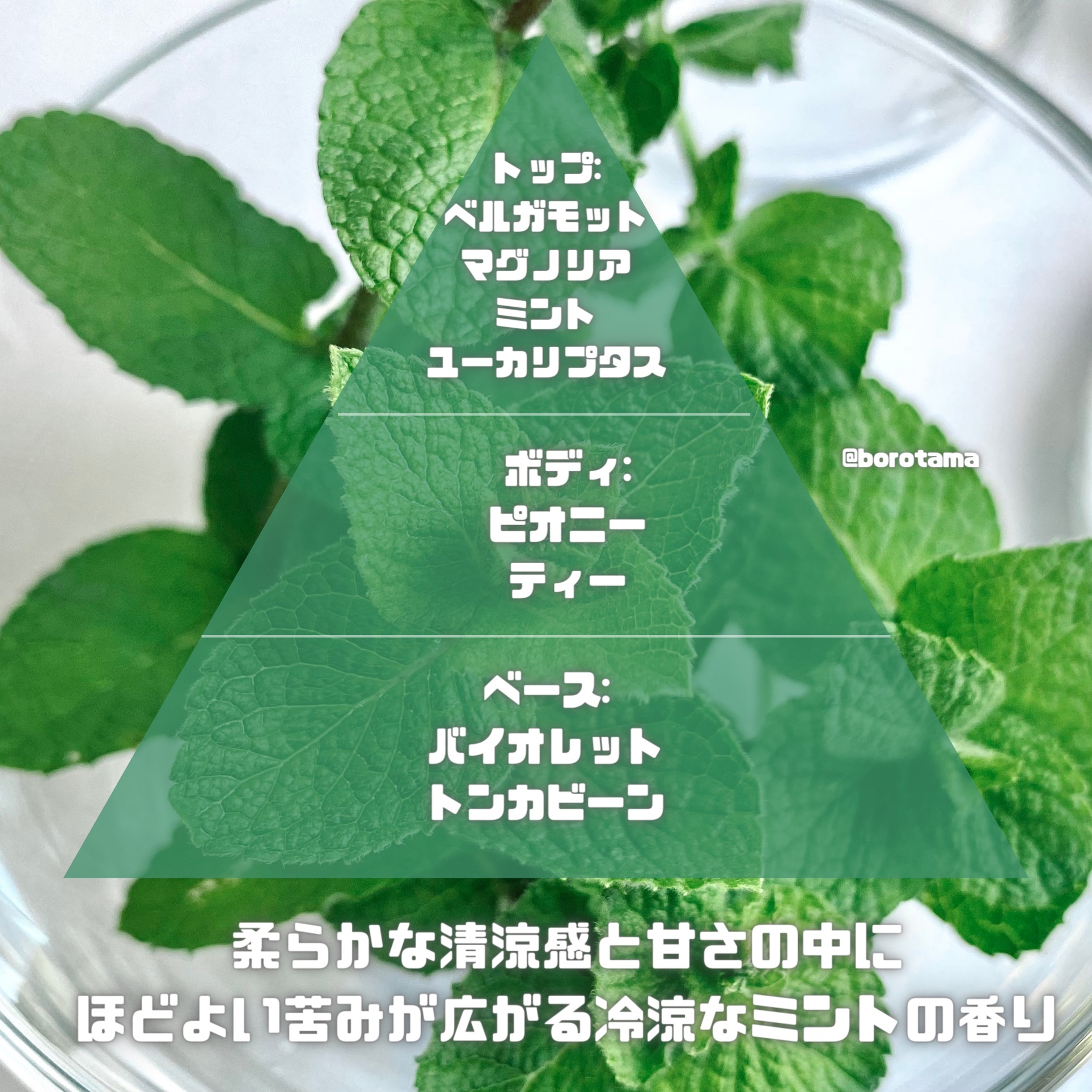 オードパルファム スペアミント/KO-GU/香水(レディース)を使ったクチコミ（3枚目）