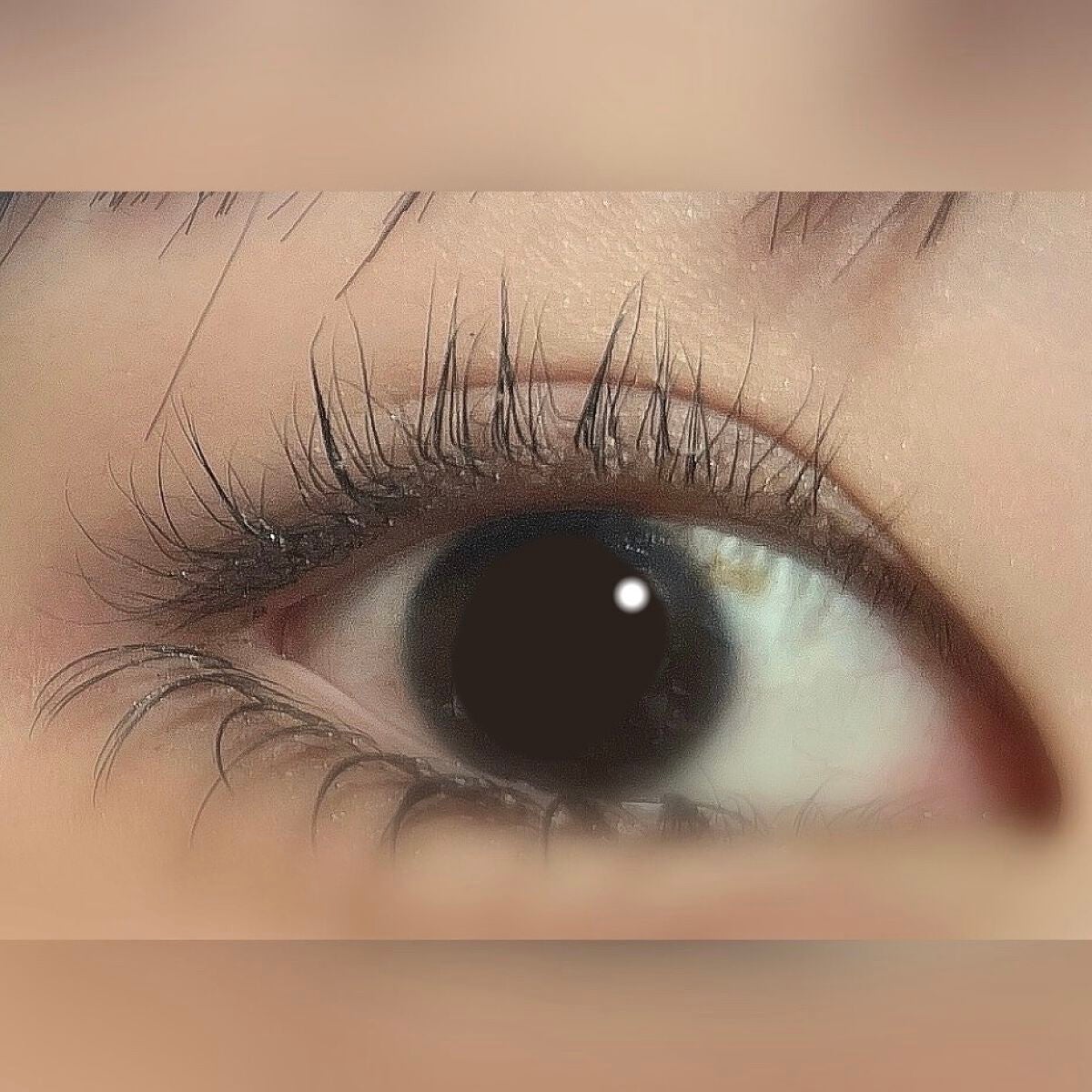 ラッシュジェリードロップ EX プレミアム/MAJOLICA MAJORCA/まつげ美容液を使ったクチコミ(2枚目)