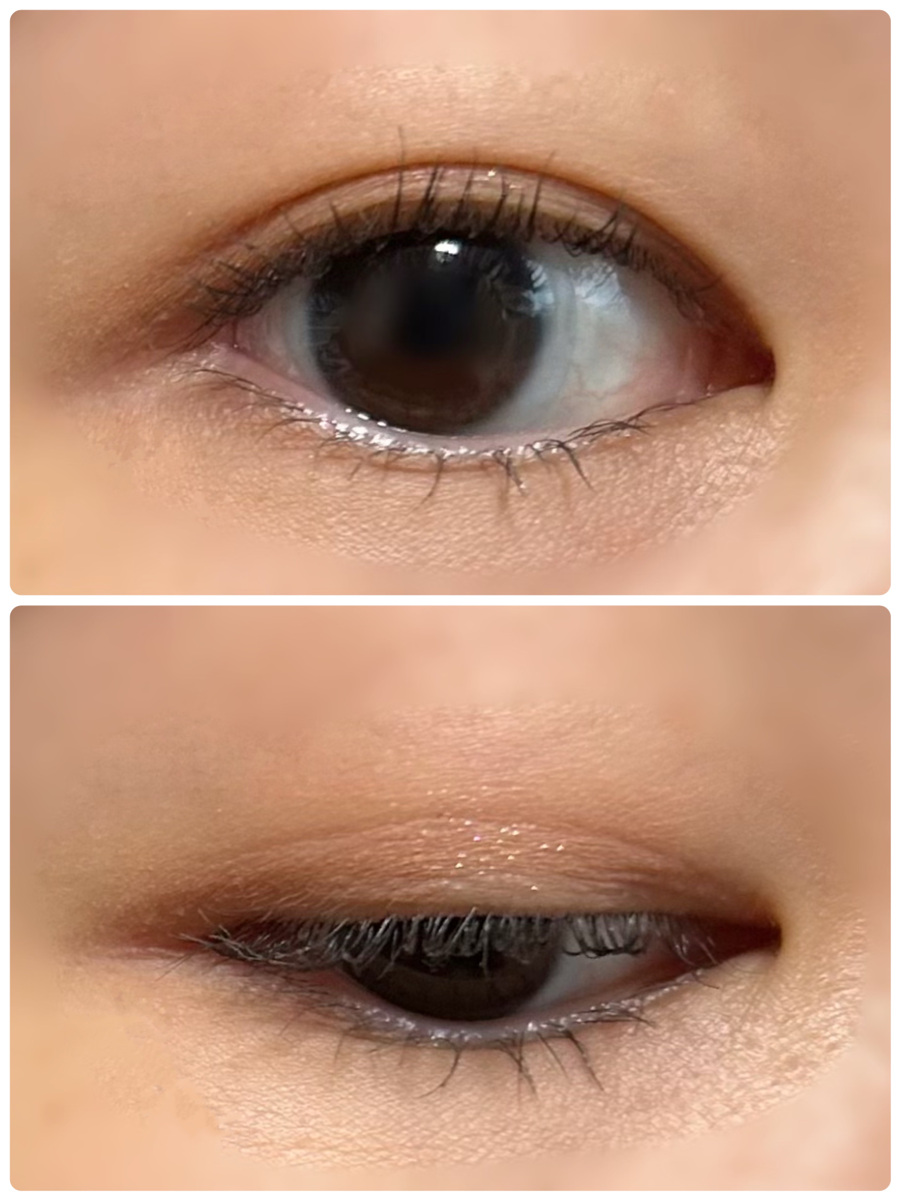 クォーツ 9色アイシャドウパレット(ドリームランドアイシャドウ) J16 アーモンドミルクティー/ZEESEA/アイシャドウパレットを使ったクチコミ（3枚目）