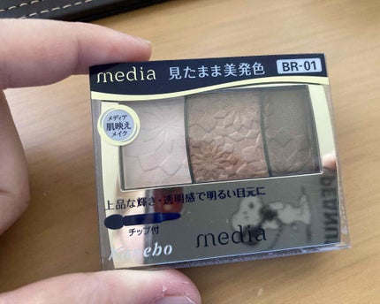 グラデカラーアイシャドウ/media/アイシャドウパレットを使ったクチコミ(4枚目)