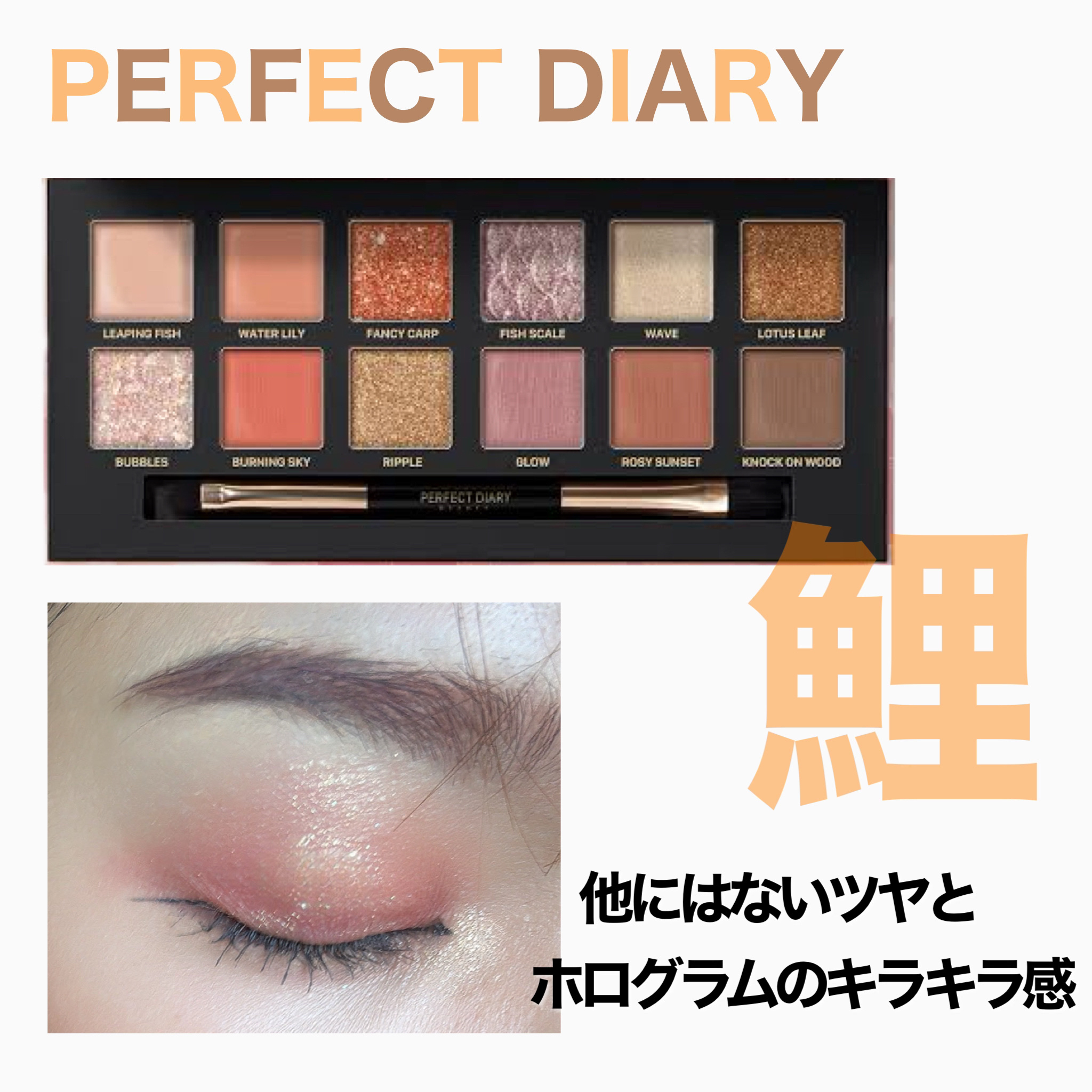 エクスプローラ12色 動物アイシャドウパレット/PERFECT DIARY/アイシャドウパレットを使ったクチコミ（1枚目）