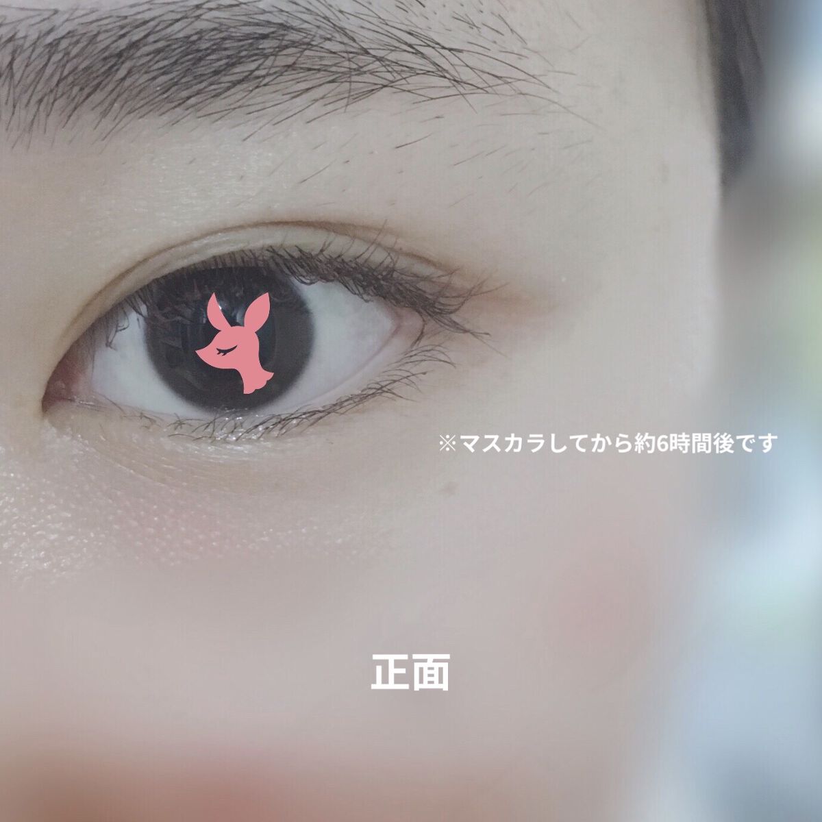 耐久カールマスカラ/CEZANNE/マスカラを使ったクチコミ（2枚目）