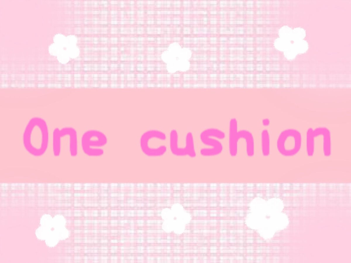 【旧品】パウダーチークス/キャンメイク/パウダーチークを使ったクチコミ(1枚目)