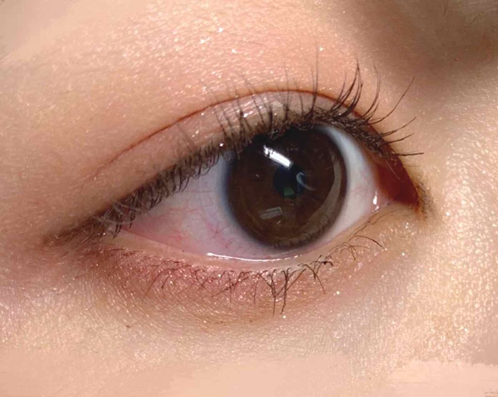 ジェルアイライナー/CEZANNE/ジェルアイライナーを使ったクチコミ(1枚目)