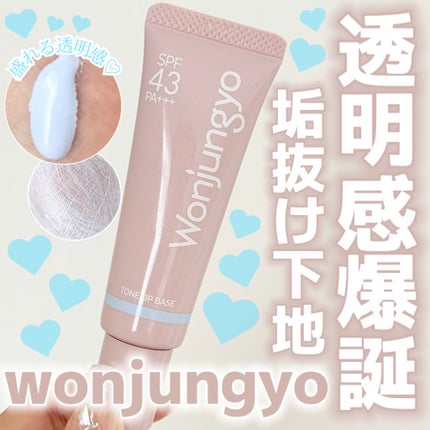 ウォンジョンヨ トーンアップベース NA/Wonjungyo/化粧下地を使ったクチコミ(1枚目)