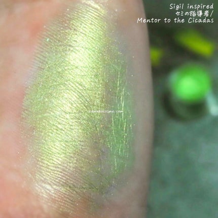 Sigil Inspired Magic Eyeshadows/SIGIL inspired/単色アイシャドウを使ったクチコミ(3枚目)