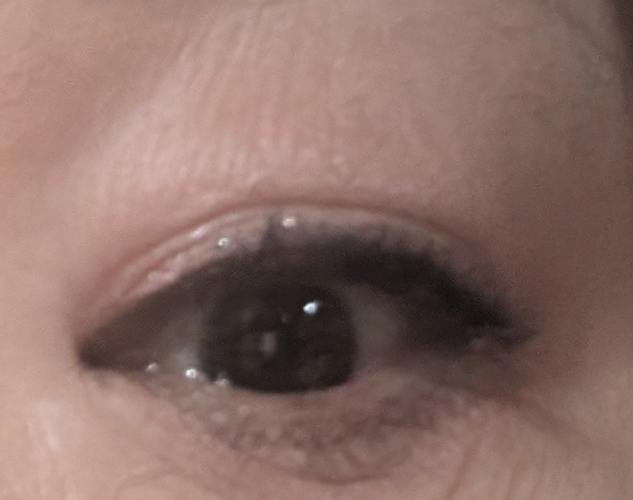 ラッシュエキスパンダー ロングロングロング/MAJOLICA MAJORCA/マスカラを使ったクチコミ（2枚目）