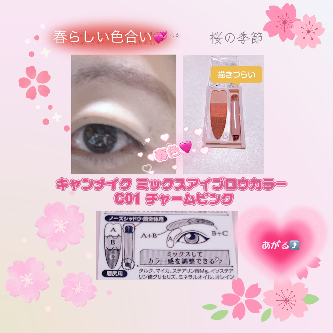 ミックスアイブロウカラー/キャンメイク/パウダーアイブロウを使ったクチコミ（1枚目）
