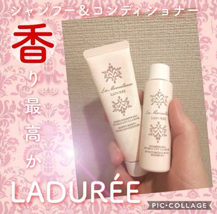 モイスチュアライジング ローズ シャンプー/コンディショナー/レ・メルヴェイユーズ ラデュレ/シャンプー・コンディショナーを使ったクチコミ(1枚目)
