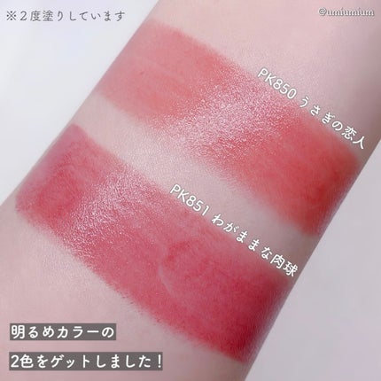 ケイト リップモンスター/KATE/口紅を使ったクチコミ(4枚目)