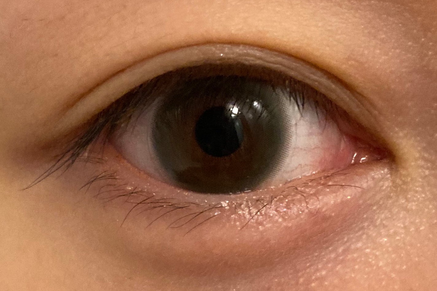 ルイ バイ カラーマジョリティー /louis by COLOR MAJORITY/カラーコンタクトレンズを使ったクチコミ(8枚目)