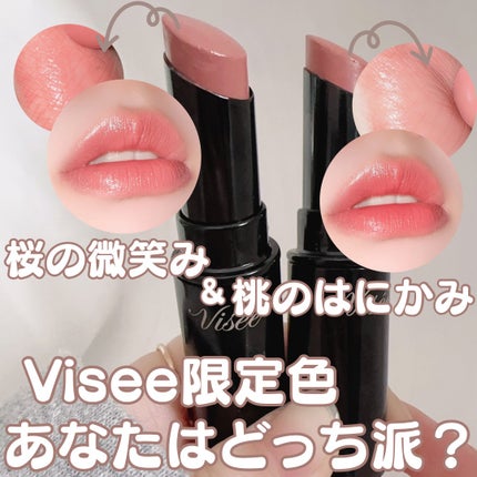 ネンマクフェイク ルージュ/Visée/口紅を使ったクチコミ(1枚目)