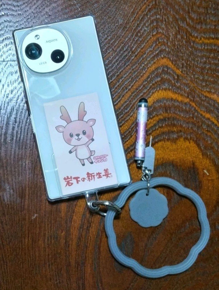 シリコーンハンドストラップ（フラワー）/DAISO/その他を使ったクチコミ（1枚目）