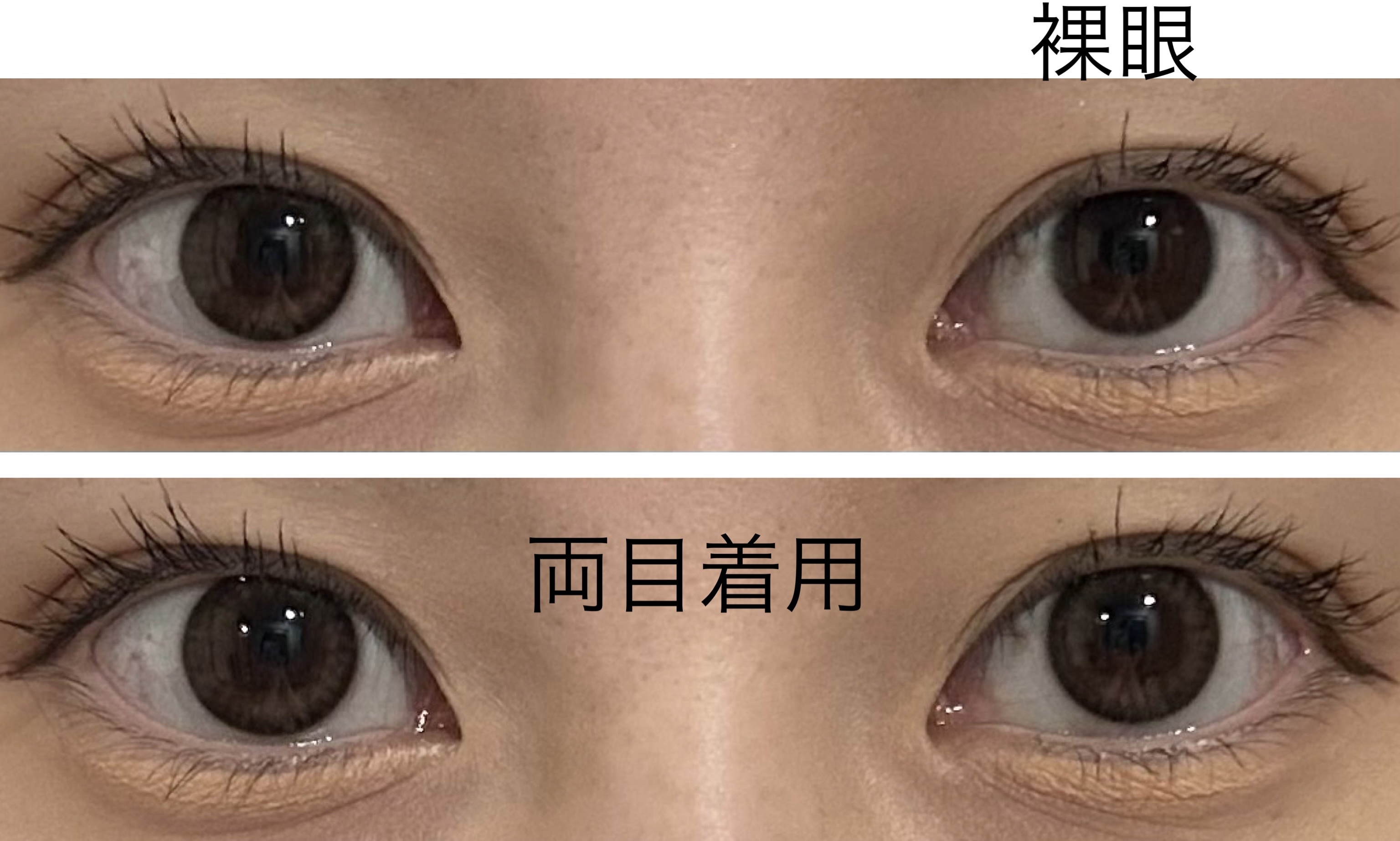 EDNA 1day/EDNA/ワンデー（１DAY）カラコンを使ったクチコミ（3枚目）